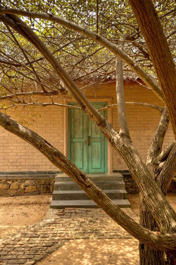 Bed and Breakfast Hide Yala Tissamaharama Zewnętrze zdjęcie