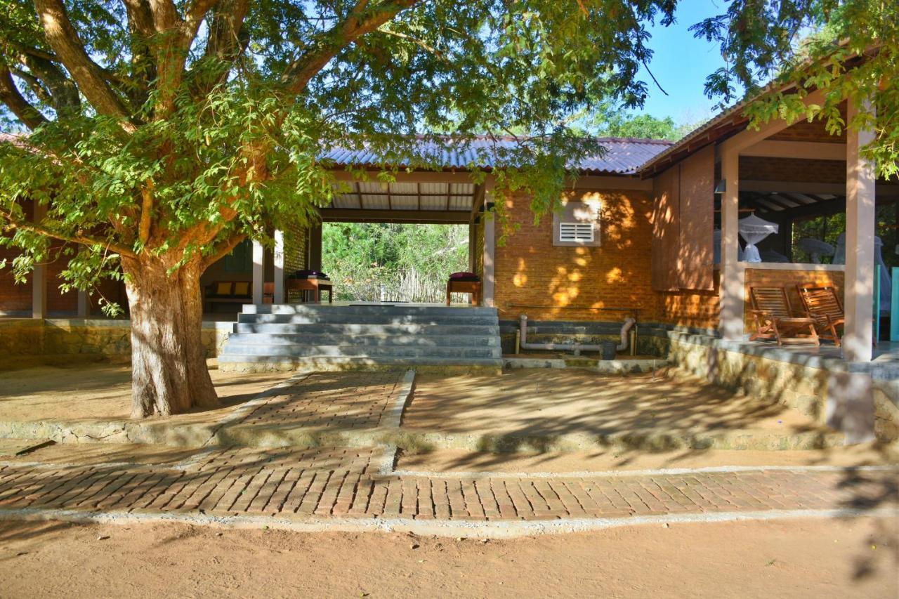 Bed and Breakfast Hide Yala Tissamaharama Zewnętrze zdjęcie